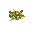 green_salad
